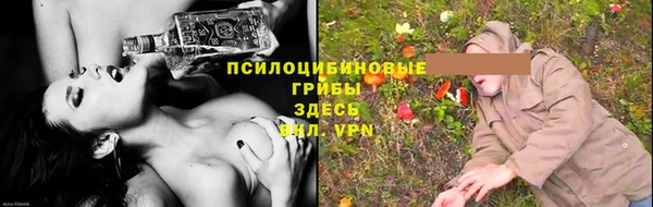apvp Новозыбков