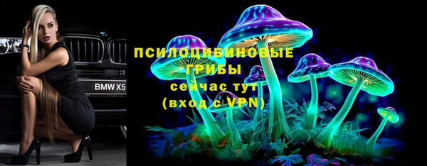 не бодяженный Новодвинск