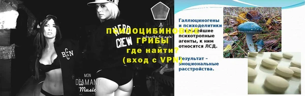 сатива Новокубанск