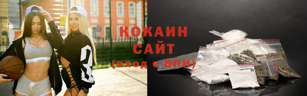apvp Новозыбков