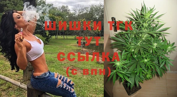 не бодяженный Новодвинск