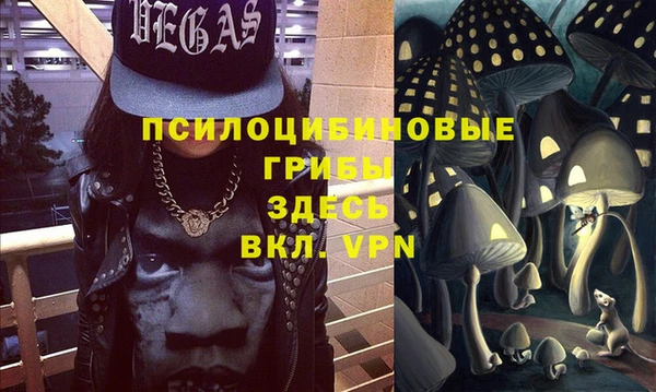 сатива Новокубанск