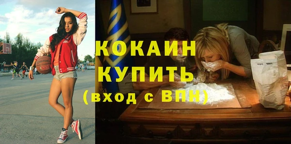 сатива Новокубанск