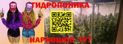 спиды Заводоуковск