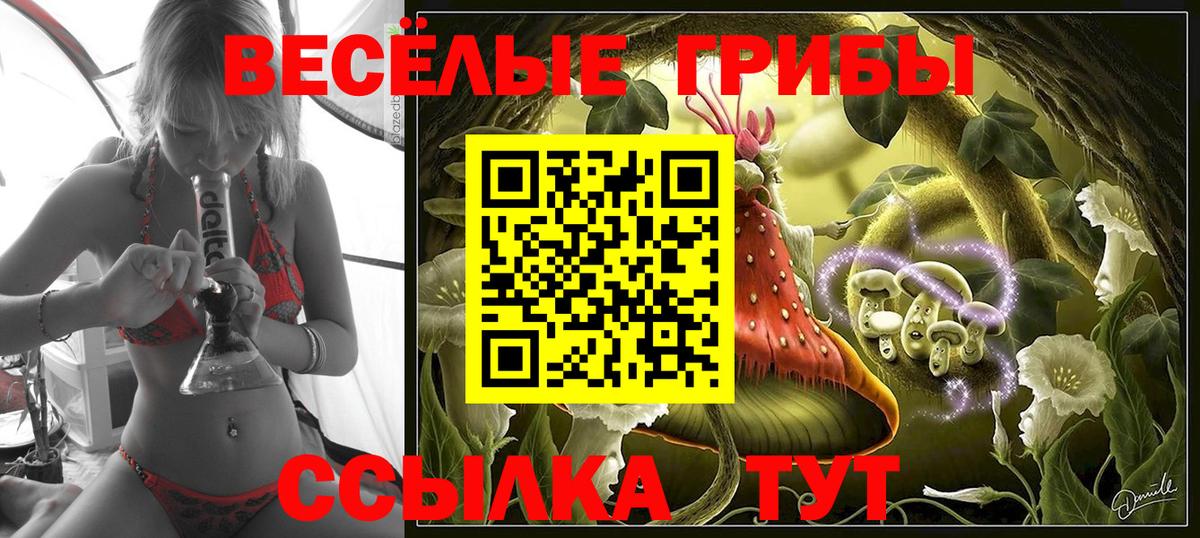 Галлюциногенные грибы Cubensis  Вход с VPN  Копейск 