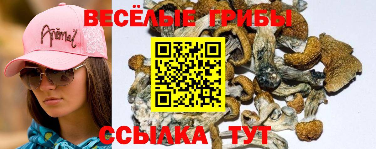  КОКАИН Копейск